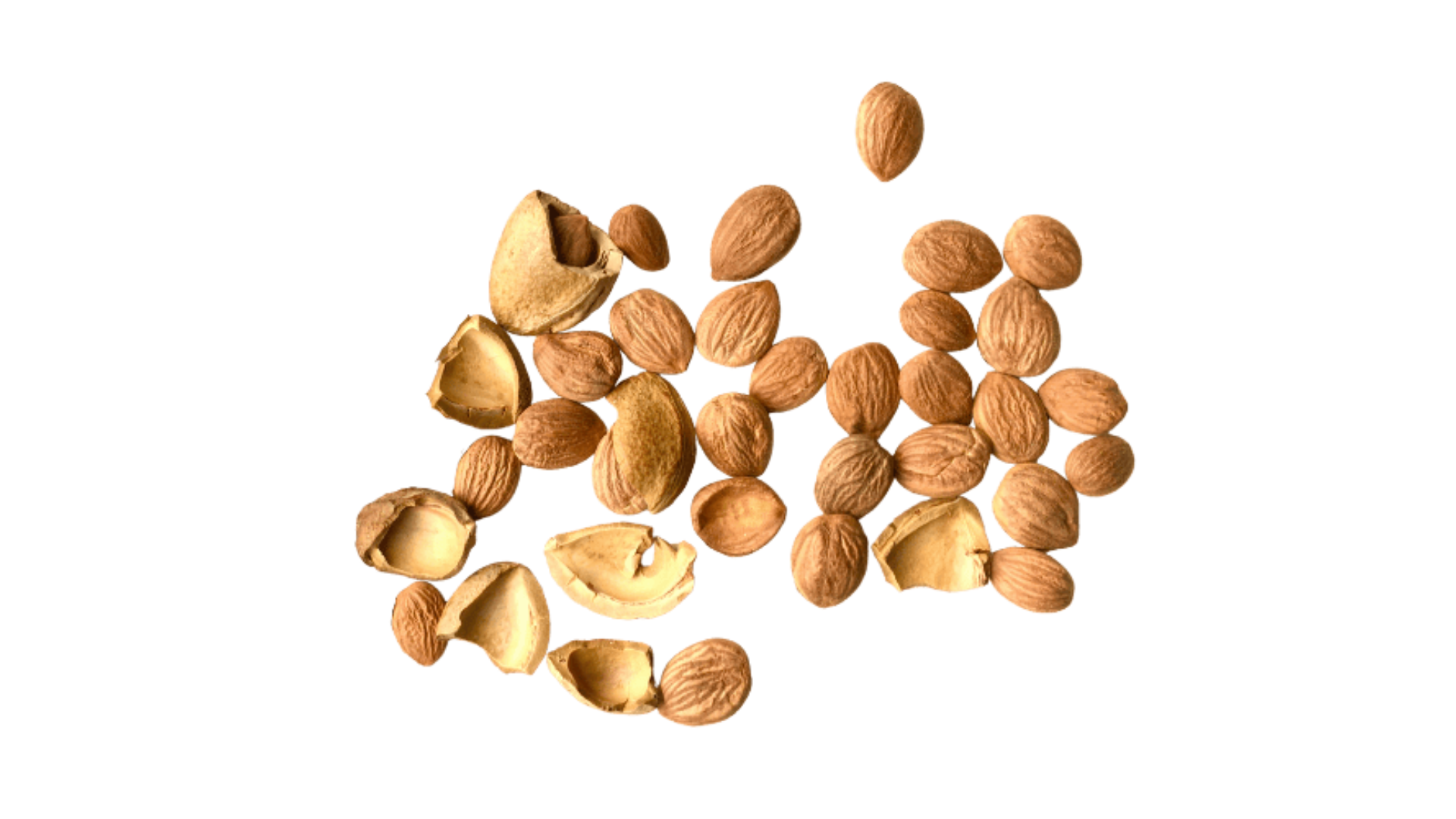 Apricot Kernel 100ml