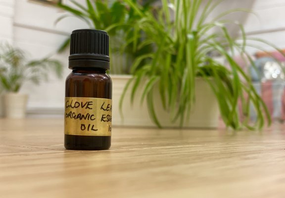 Clove Organic 10ml
