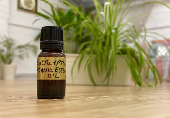 Eucalyptus Organic 10ml