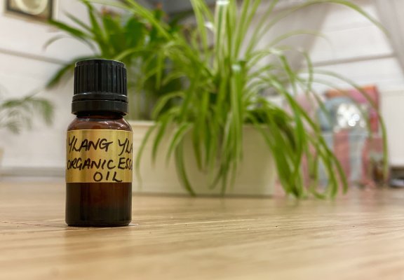Ylang Ylang I Organic 10ml